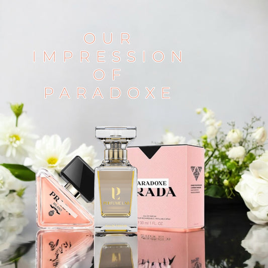 Paradoxe- برادا بارادوكس